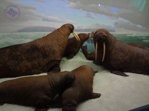 Learn the basics of diorama construction with this little tutorial