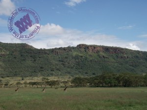 Learn the basics of diorama construction with this little tutorial