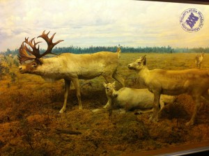 Learn the basics of diorama construction with this little tutorial