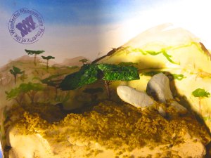 Learn the basics of diorama construction with this little tutorial